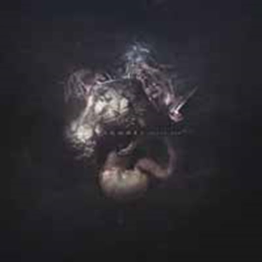 Code CD - Augur Nox