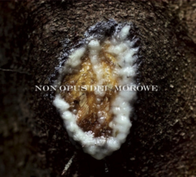 Non Opus Dei / Morowe CD - Dziwki Dwie