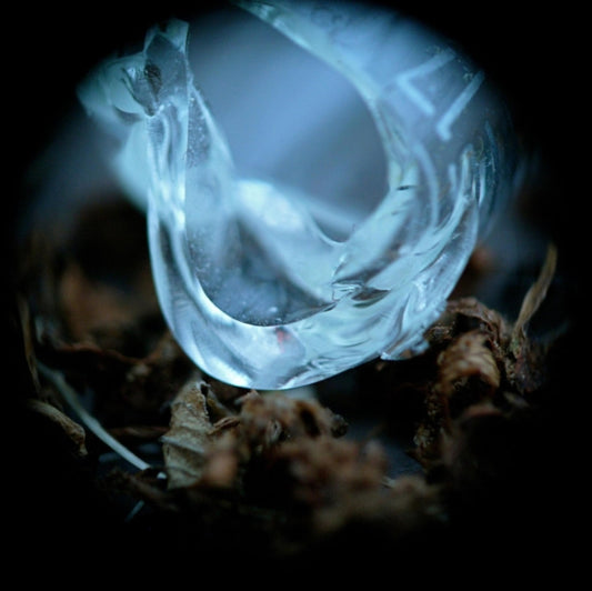 Ossicles CD - Mantelpiece