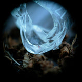 Ossicles CD - Mantelpiece