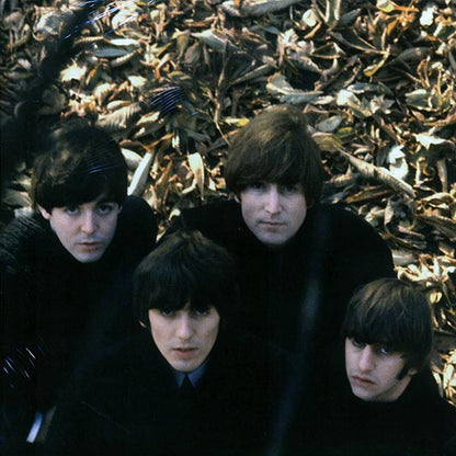 The Beatles  LP -  Beatles For Sale (stereo) (180g)