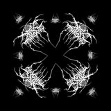 Darkthrone Bandana -  Logo 