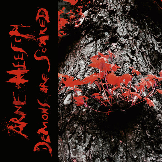 Arne Heesch LP - Demons Are Scared (Lp+Cd) | Buy Now For 38.99