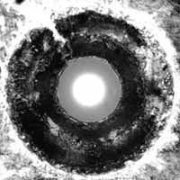 Bastards Of Fate LP - Suck The Light Out | Buy Now For 23.99