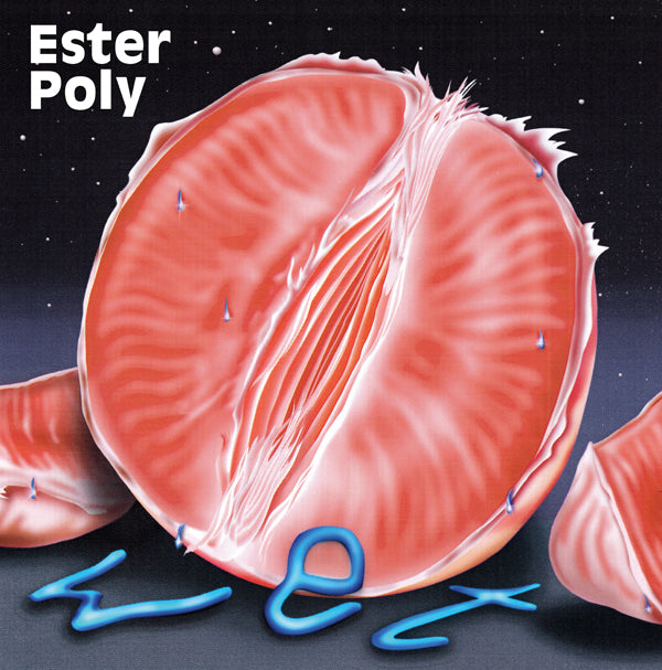 Ester Poly LP - Wet | Buy Now For 35.99