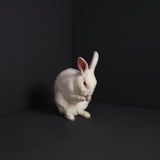 Brume LP - Rabbits | Buy Now For 55.99