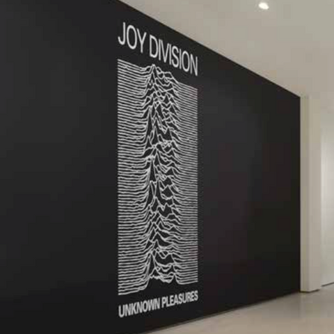 Rocksax Joy Division Mural - 4m X 2.5m - Unknown Pleasures