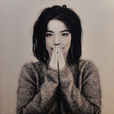 Bjork LP  Debut