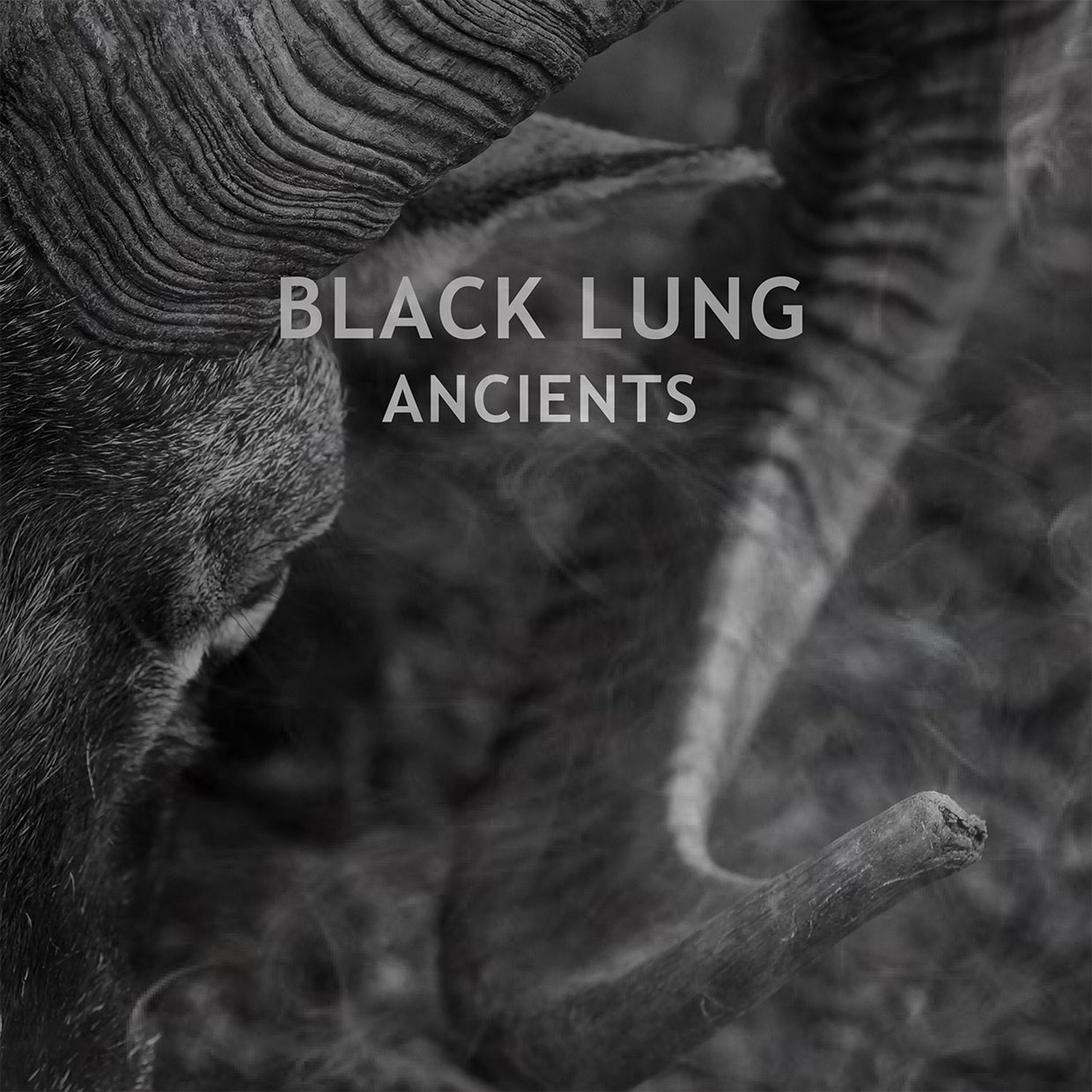Black Lung LP - Ancients | Buy Now For 38.99