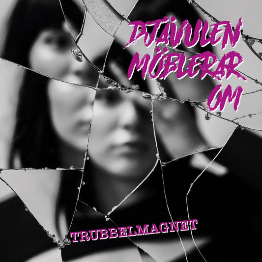 Djävulen Möblerar Om LP - Trubbelmagnet | Buy Now For 53.99