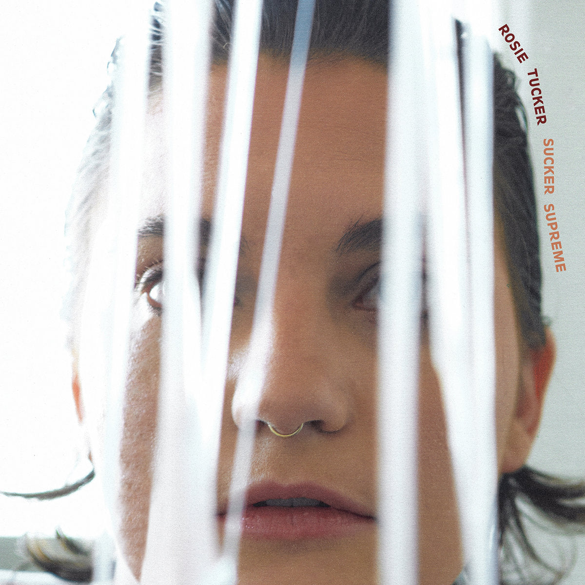 Rosie Tucker LP Vinyl Record - Sucker Supreme
