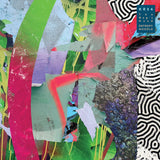 The Nag's Head LP - Entropy Noodle
