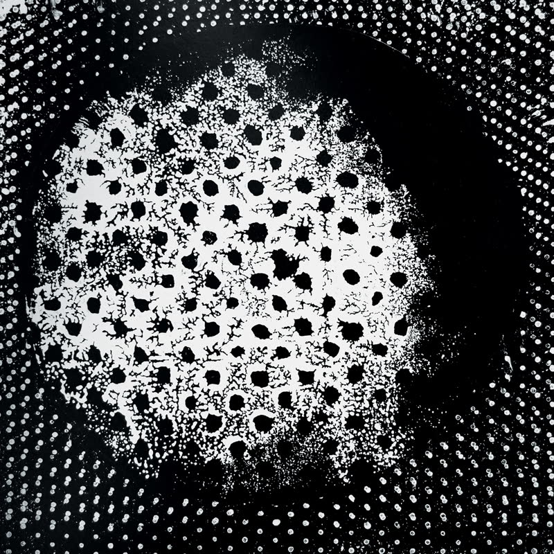 Biosphere LP - Patashnik [Reissue]