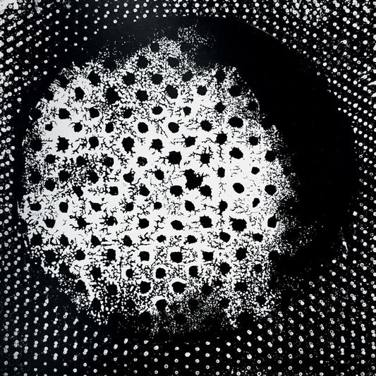 Biosphere LP - Patashnik [Reissue]